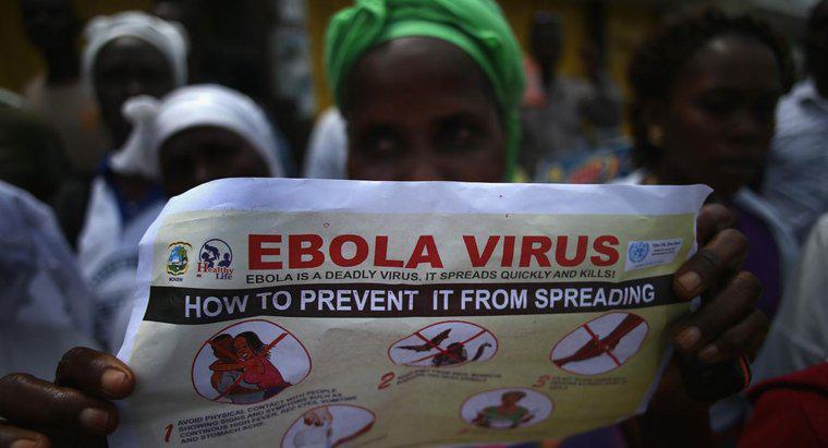 Làm thế nào để mọi người có thể tự bảo vệ mình khỏi bệnh do vi rút Ebola?