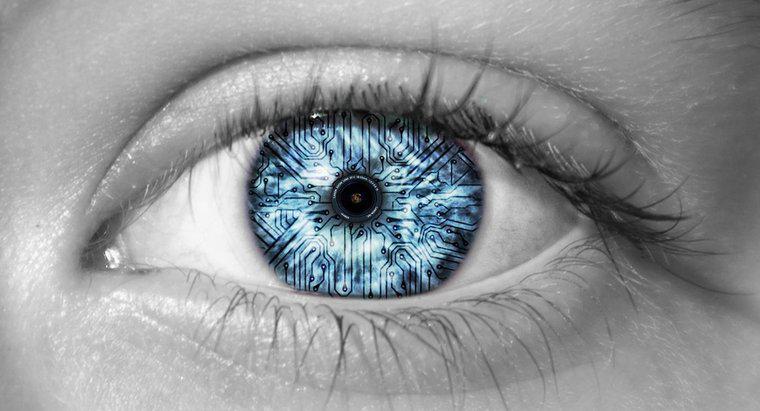Điều gì cho phép mắt người nhìn thấy màu sắc?