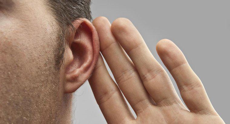 Có một phương pháp chữa trị cho tiếng chuông trong tai?