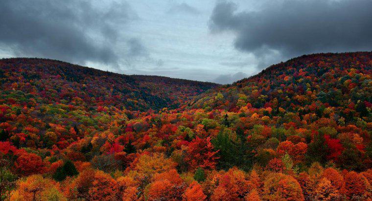 Khí hậu ở Vermont như thế nào vào mùa thu?
