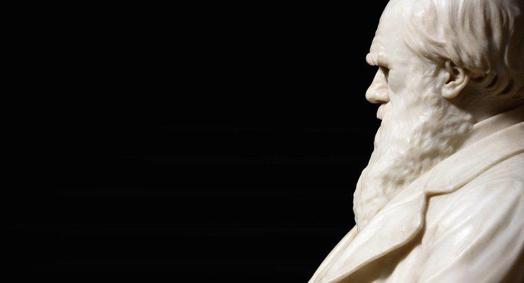 Charles Darwin đã đi học ở đâu?