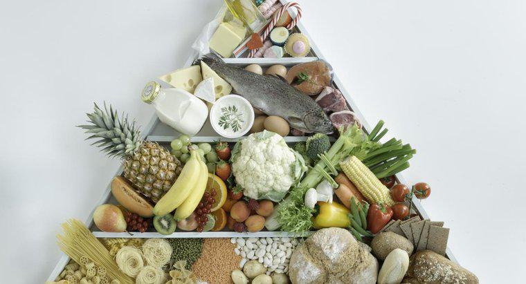 Sự khác biệt giữa các chất dinh dưỡng đa lượng và vi chất dinh dưỡng là gì?
