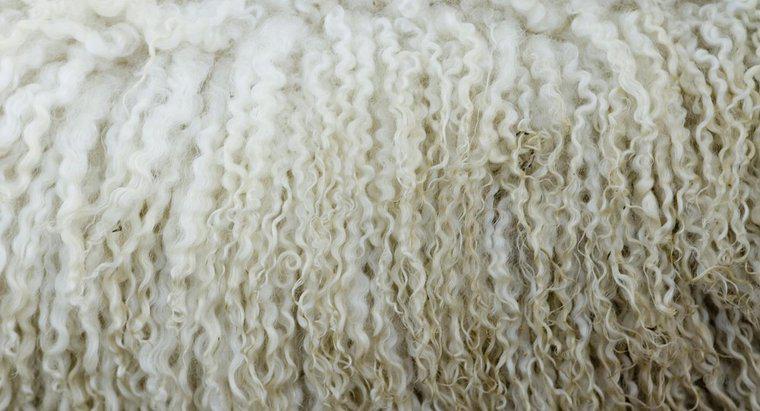 Sự khác biệt giữa len nguyên chất và len thường là gì?