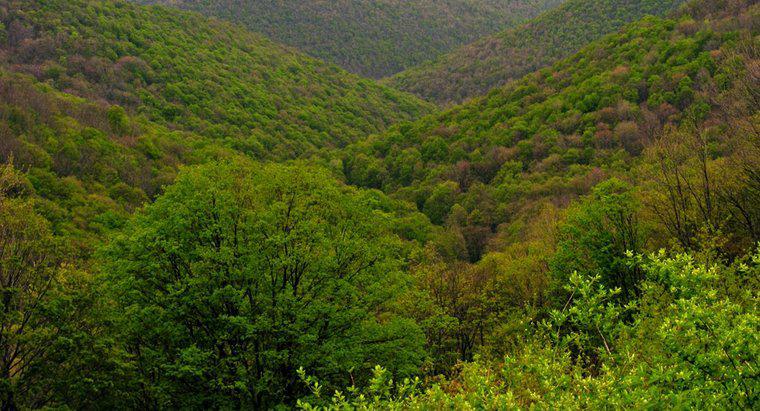 Dãy núi Appalachian bắt đầu và kết thúc ở đâu?