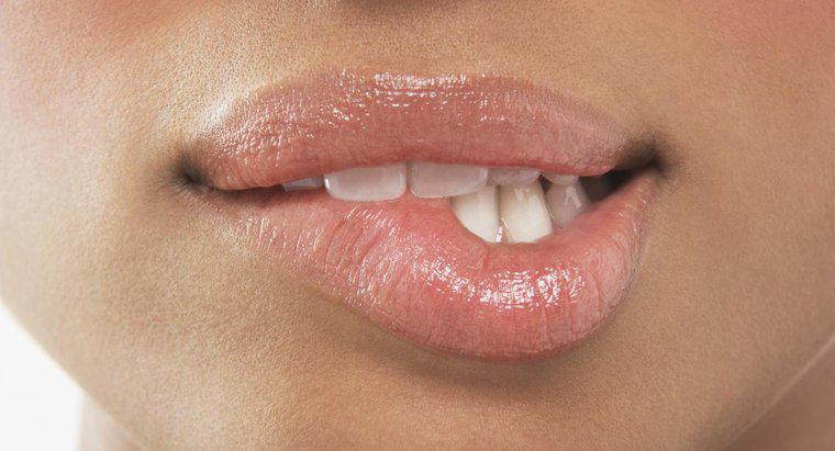 Các triệu chứng của nhiễm trùng miệng là gì?