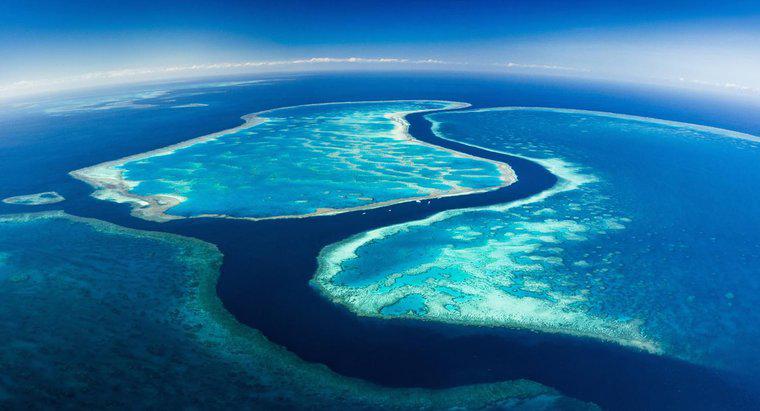 Rạn san hô Great Barrier Reef dài bao lâu?