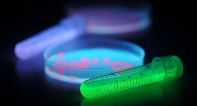 Làm thế nào để bóng đèn UV ức chế sự phát triển của vi khuẩn?
