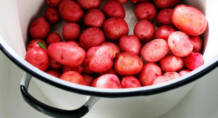 Bạn nên luộc khoai tây đỏ trong bao lâu?