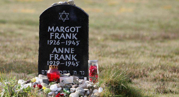 Thành tựu chính của Anne Frank là gì?