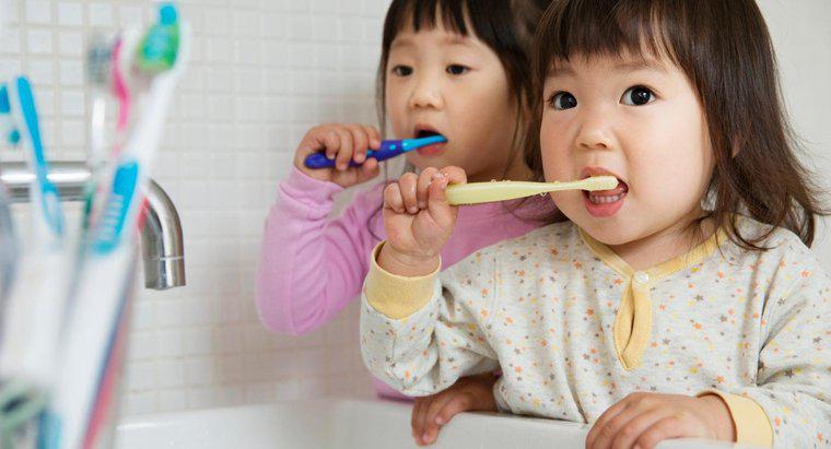 Mọi người đánh răng bao nhiêu lần một ngày?