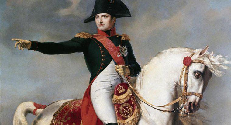 Napoleon đã đạt được mục tiêu nào của cuộc cách mạng?