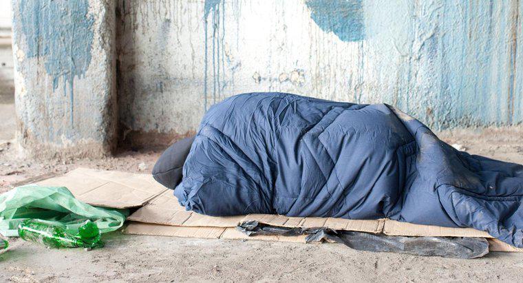 Có bao nhiêu người vô gia cư trên thế giới?