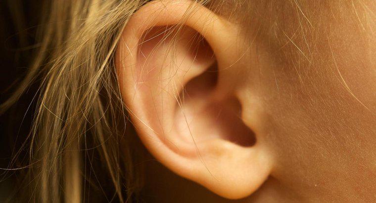 Làm thế nào để bạn loại bỏ ráy tai?