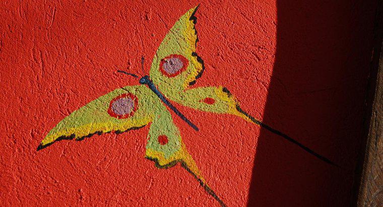 Nghệ sĩ bướm là gì?