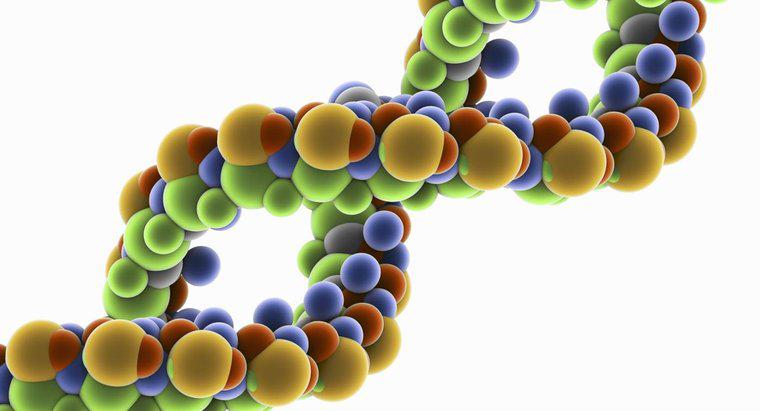 Điều gì xảy ra trong quá trình sao chép DNA?