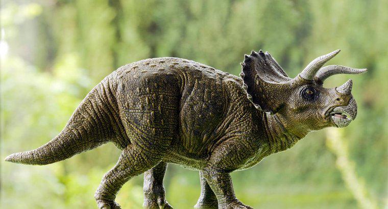 Triceratops đã ăn gì?
