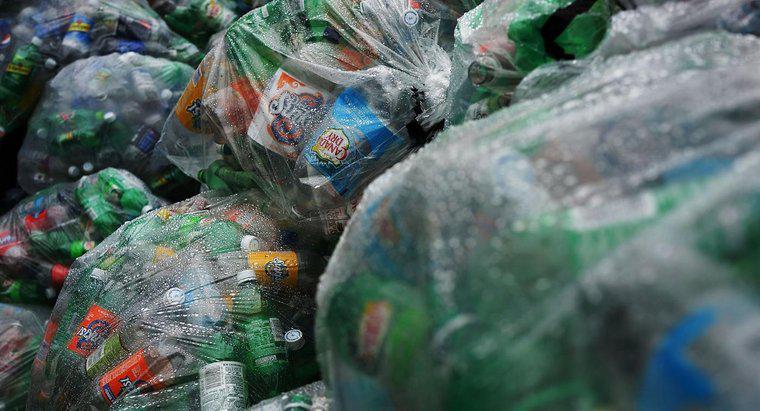 Phần trăm người dân tái chế là bao nhiêu?