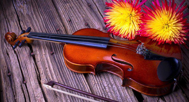 Một số thông tin thú vị về đàn Violin là gì?