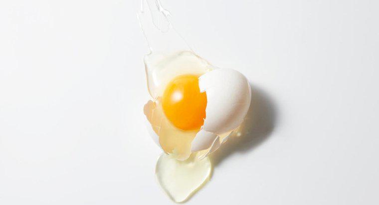 Trứng có thể được sử dụng như một phương pháp điều trị tóc?