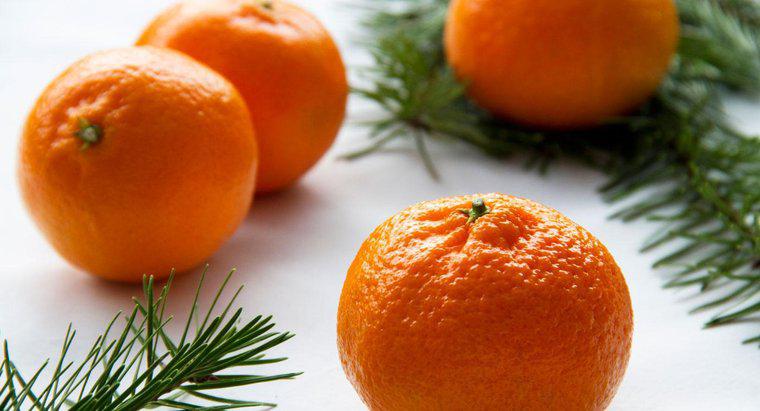 Ý nghĩa của một quả cam trong kho Giáng sinh là gì?