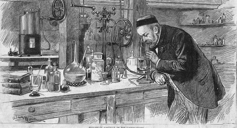 Louis Pasteur đã khám phá ra điều gì?