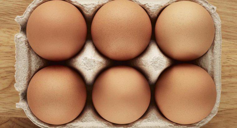 Các bộ phận của một quả trứng là gì?