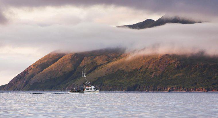 Nhóm Đảo nhỏ nào tạo nên Đuôi Dài của Alaska?